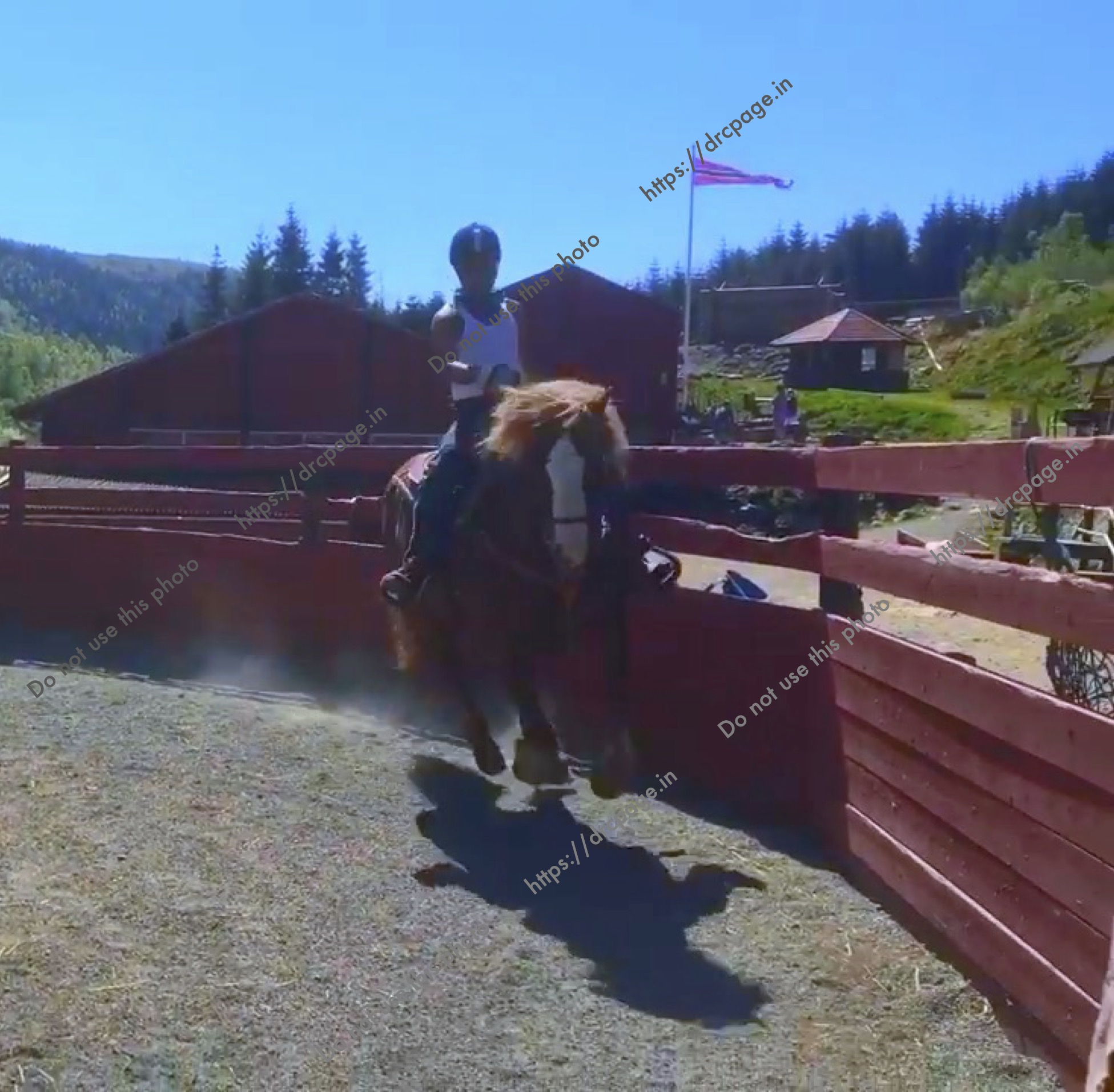  hobbies 1 fr d watermarked drcpage