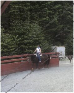  hobbies 4 beauty2 ride watermarked preview drcpage