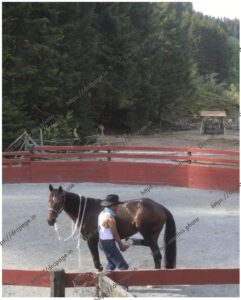  hobbies 4 beauty4 ground watermarked preview drcpage