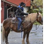 Home home 3 ro 1 img 6920 edited watermarked preview drcpage.jpg